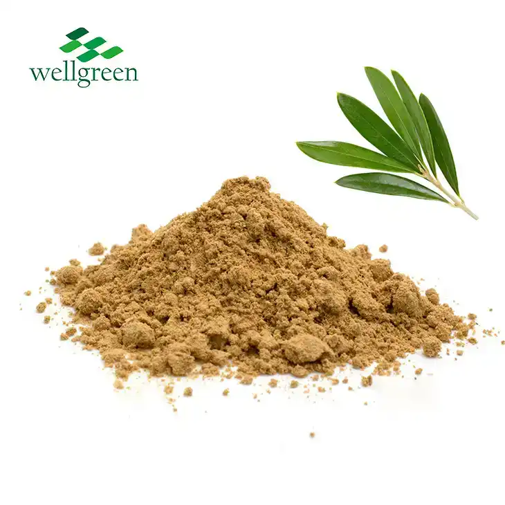 What are the health benefits of Olive Leaf Extract?